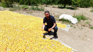 Başkan Kiraz, AKP, çiftçiyi kaderiyle baş başa bırakıyor