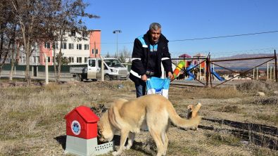 Battalgazi’de Can Dostlar İçin 19 Yeni Besleme Noktası