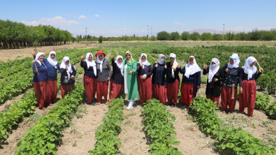 Battalgazi'nin Gönüllü Kadınları, İlk Hasatlarını Topladı