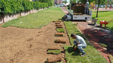 Üç Yılda 80 Bin Metrekare Rulo Çim Ürettik