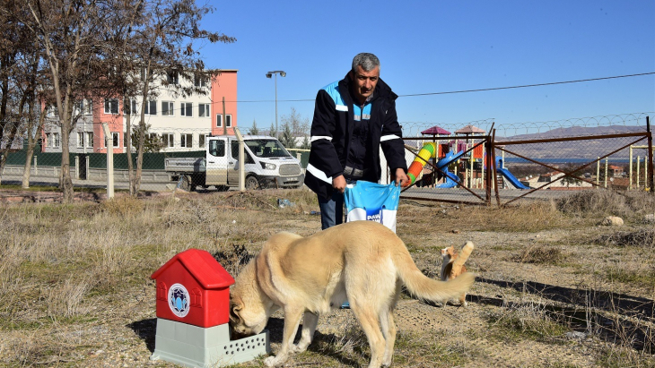 Battalgazi’de Can Dostlar İçin 19 Yeni Besleme Noktası