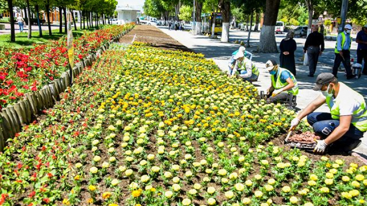 Malatya Parklarınıyazlık Çiçekler Süslüyor